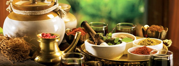 1022/The Elephant Court - Thekkady 18.jpg